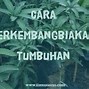 Apakah Stolon Dan Geragih Sama