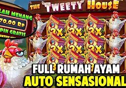 The Tweety House Slot Hari Ini Indonesia Inggris Translate